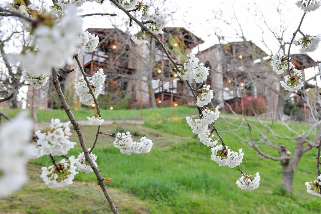 Vathyskia Guesthouse Kato Sinikia Trikalon Esterno foto